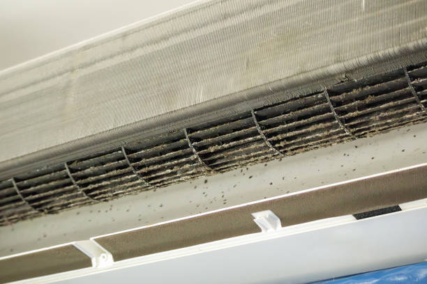 Best General Air Duct Cleaning  in Vail, AZ